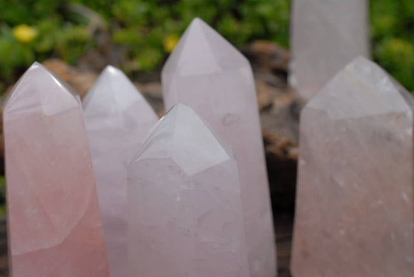 Polished Rose Quartz Crystal Points x 12 From Ambatondrazaka, Madagascar - TopRock