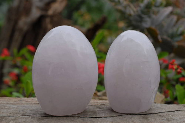 Polished Blue Rose Quartz Standing Free Forms x 2 From Madagascar - TopRock