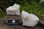 Natural White Phantom Quartz Clusters x 2 From Madagascar - TopRock
