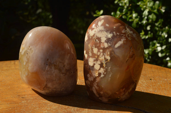 Polished Coral Flower Agate Standing Free Forms x 2 From Madagascar - TopRock