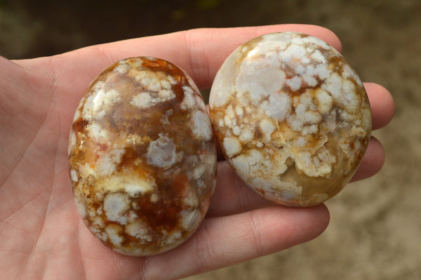 Polished Coral Flower Agate Palm Stones x 24 From Antsahalova, Madagascar - TopRock