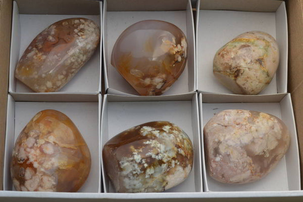 Polished Highly Selected Coral Flower Agate Standing Free Forms x 6 From Madagascar - TopRock