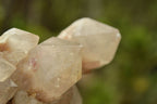 Natural Smokey White Phantom Quartz Clusters x 2 From Luena, Congo - TopRock