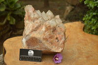 Natural Smokey Phantom Quartz Cluster x 1 From Luena, Congo - TopRock