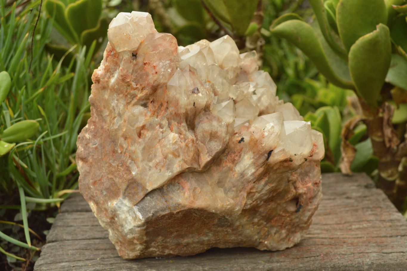 Natural Smokey Phantom Quartz Cluster x 1 From Luena, Congo - TopRock