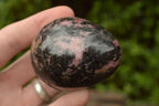 Polished Pink & Black Rhodonite Eggs x 5 From Madagascar - TopRock