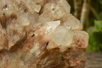 Natural Smokey Phantom Quartz Cluster x 1 From Luena, Congo - TopRock