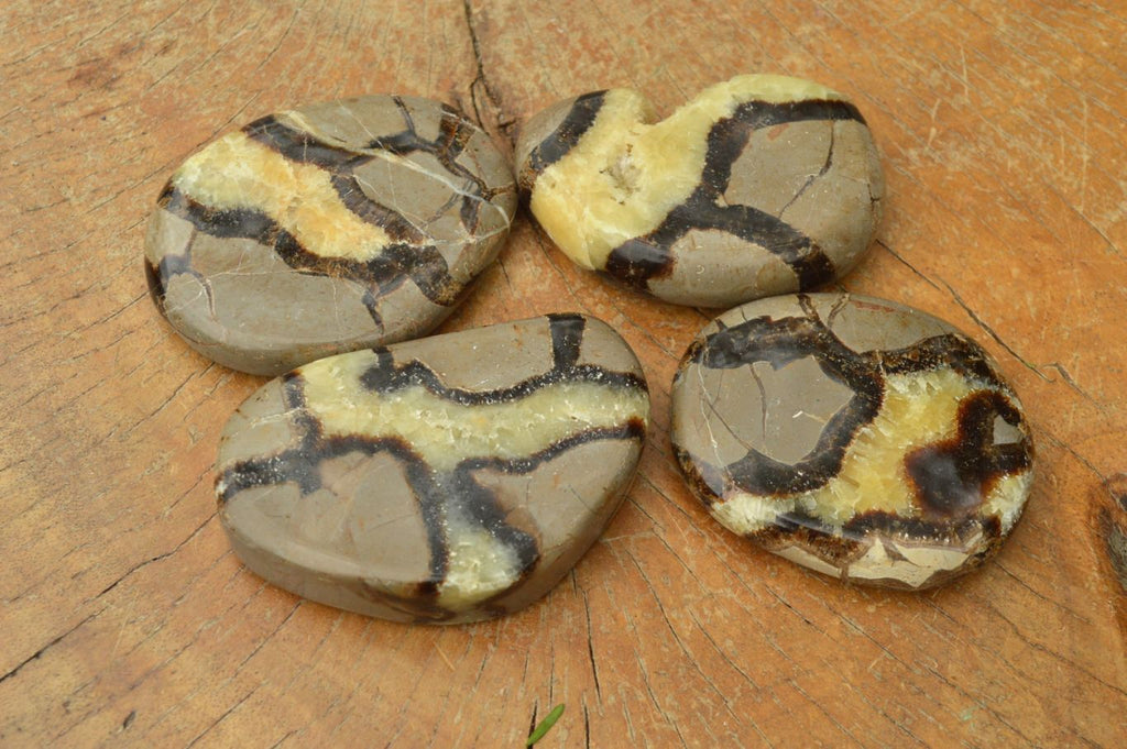 Polished Septerye (Aragonite & Calcite) Slices x 12 From Mahajanga, Madagascar - TopRock