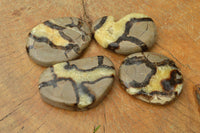 Polished Septerye (Aragonite & Calcite) Slices x 12 From Mahajanga, Madagascar - TopRock