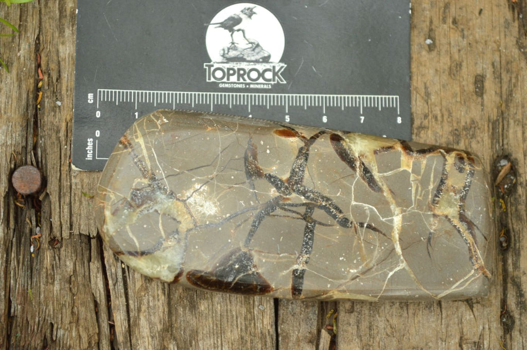 Polished Septerye (Aragonite & Calcite) Slices x 12 From Mahajanga, Madagascar - TopRock