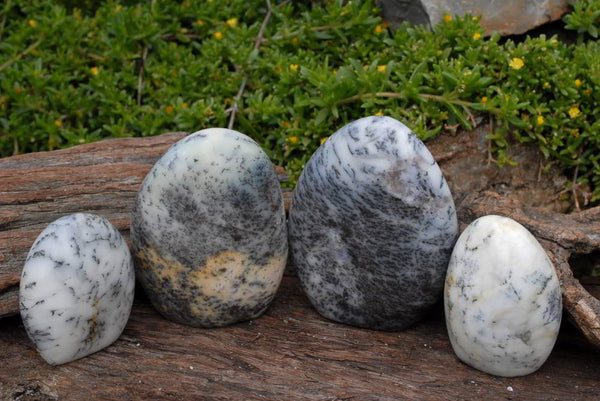 Polished Dendritic Opal Standing Free Forms x 4 From Madagascar - TopRock