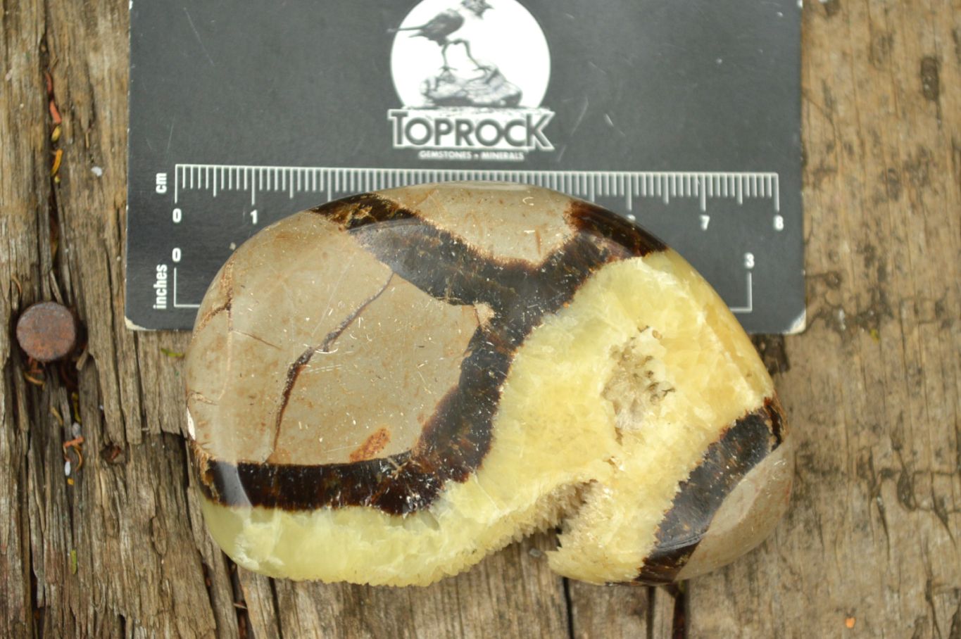 Polished Septerye (Aragonite & Calcite) Slices x 12 From Mahajanga, Madagascar - TopRock