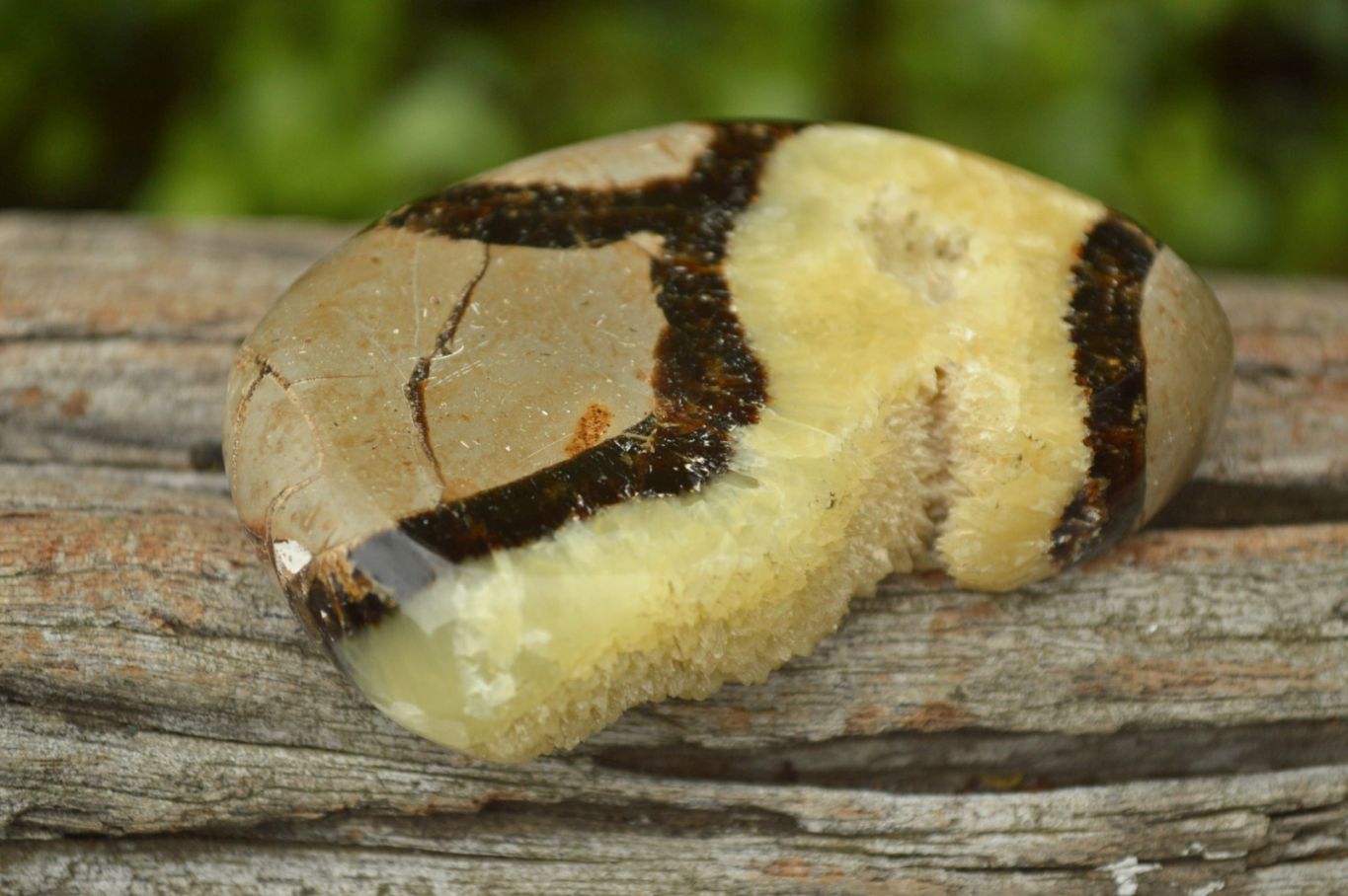 Polished Septerye (Aragonite & Calcite) Slices x 12 From Mahajanga, Madagascar - TopRock
