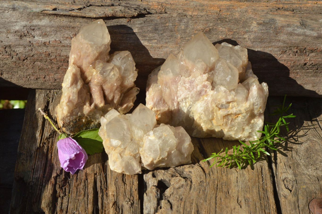 Natural Smokey Cascading Phantom Quartz Clusters x 3 From Luena, Congo - TopRock