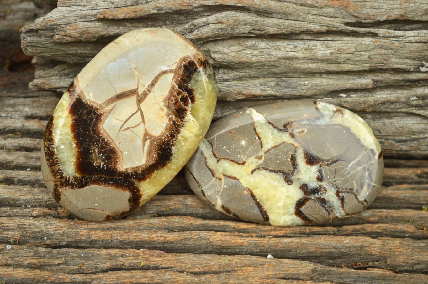 Polished Septerye (Aragonite & Calcite) Slices x 12 From Mahajanga, Madagascar - TopRock