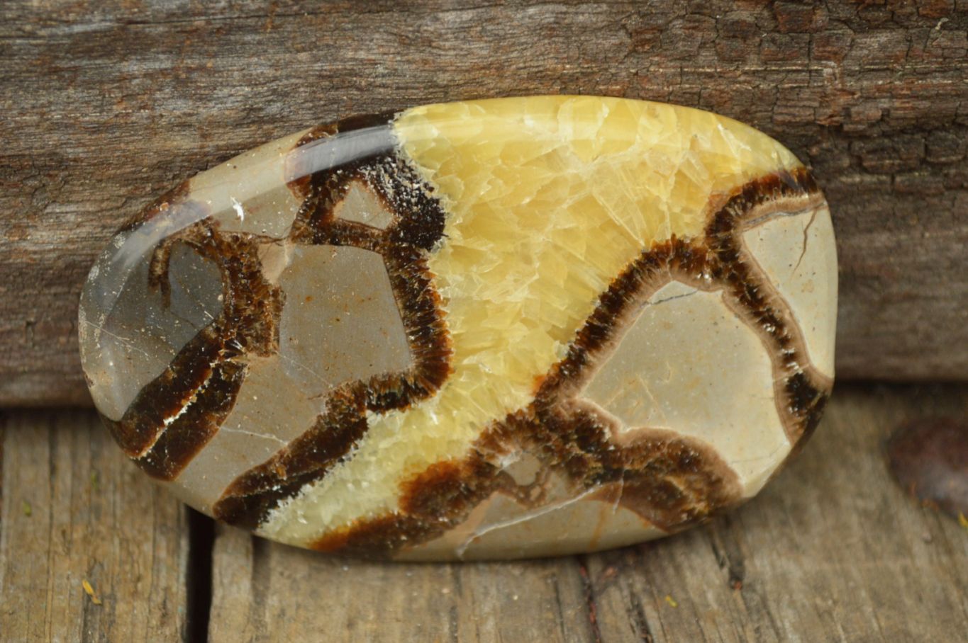 Polished Septerye (Aragonite & Calcite) Slices x 12 From Mahajanga, Madagascar - TopRock