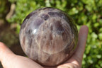 Polished Classic Dream Amethyst Sphere x 1 From Madagascar - TopRock