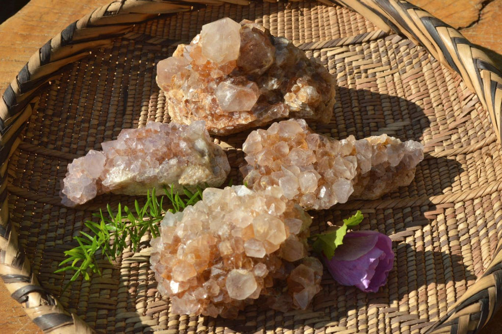 Natural Spirit Cactus Quartz With Golden Hematoid Colouring x 6 From Boekenhouthoek, South Africa - TopRock