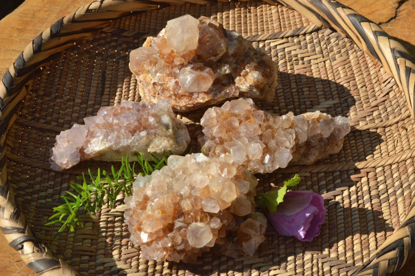 Natural Spirit Cactus Quartz With Golden Hematoid Colouring x 6 From Boekenhouthoek, South Africa - TopRock