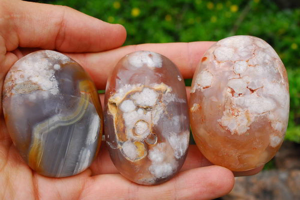 Polished Coral Flower Agate Gallets x 24 From Madagascar - TopRock