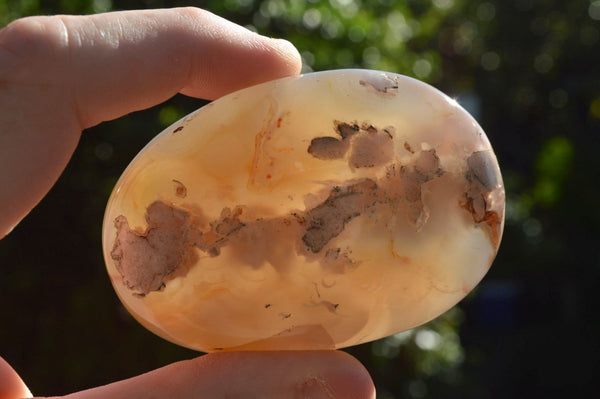 Polished Coral Flower Agate Palm Stones x 12 From Antsahalova, Madagascar - TopRock