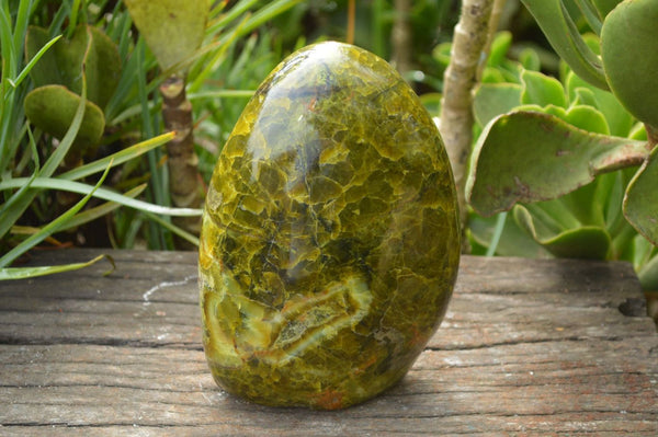 Polished Large Green Opal Standing Free Form x 1 From Madagascar - TopRock