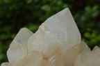 Natural Mixed Malagasy Quartz Clusters x 4 From Madagascar - TopRock