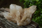 Natural Mixed Malagasy Quartz Clusters x 4 From Madagascar - TopRock