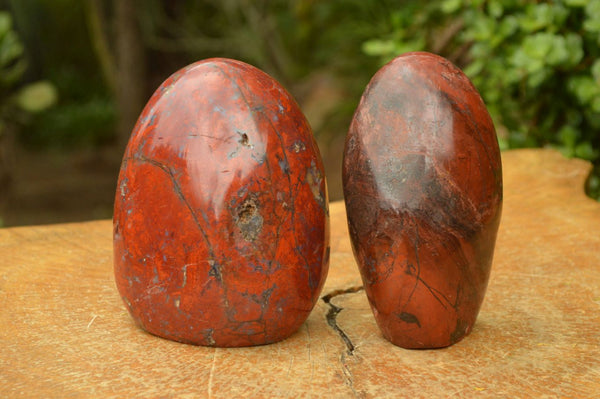 Polished Red Jasper Standing Free Forms x 2 From Madagascar - TopRock
