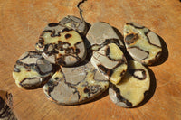 Polished Small Septerye (Aragonite & Calcite) Slices x 23 From Mahajanga, Madagascar - TopRock