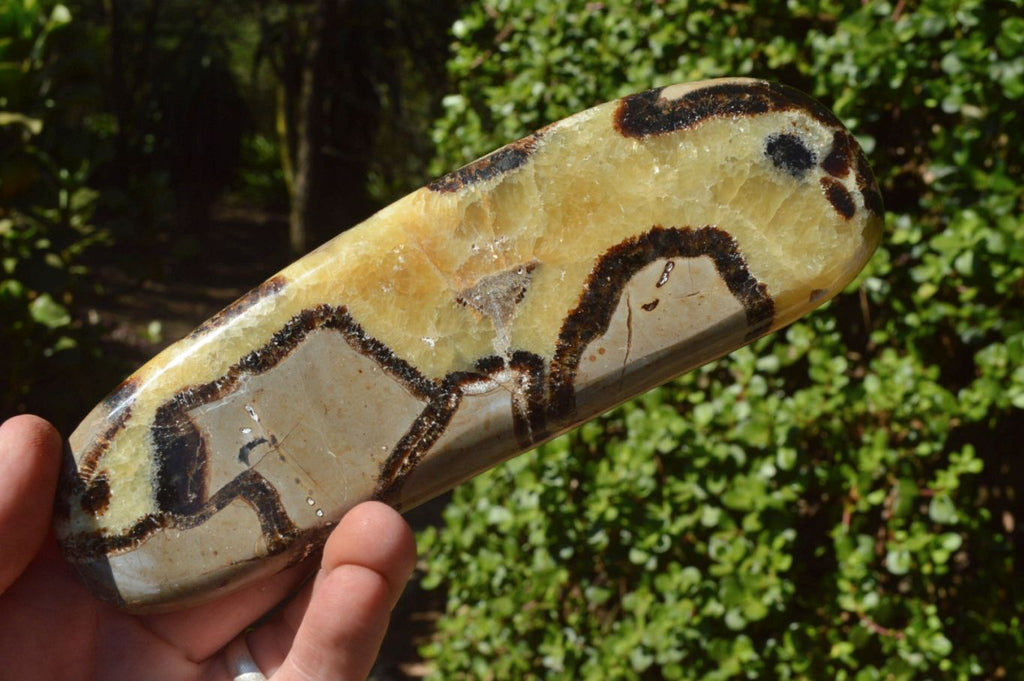 Polished Septerye (Aragonite & Calcite) Slices x 4 From Mahajanga, Madagascar - TopRock
