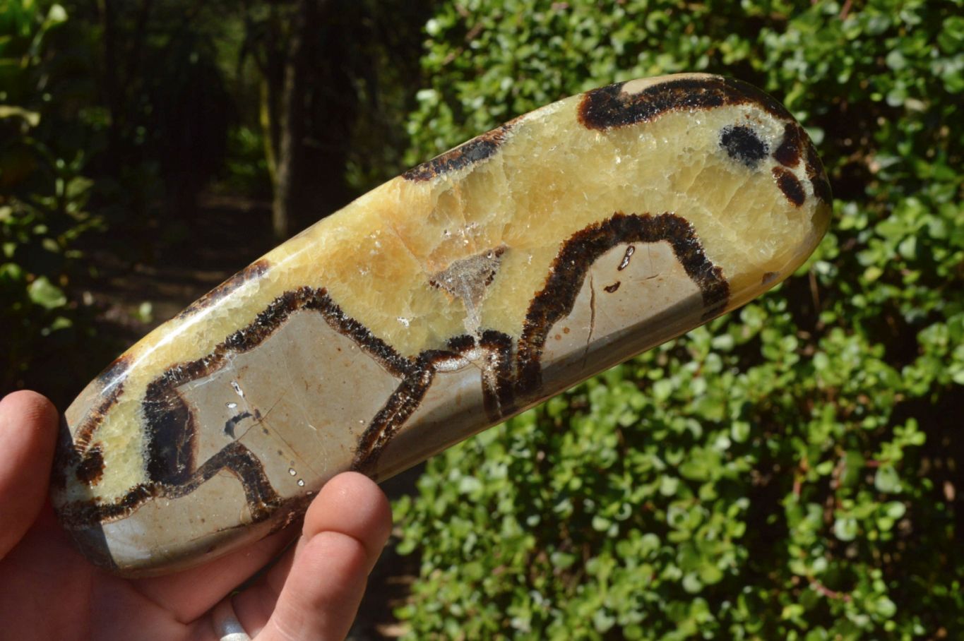 Polished Septerye (Aragonite & Calcite) Slices x 4 From Mahajanga, Madagascar - TopRock