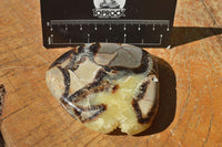 Polished Small Septerye (Aragonite & Calcite) Slices x 23 From Mahajanga, Madagascar - TopRock