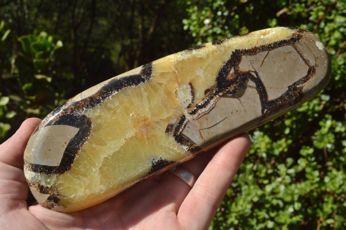 Polished Septerye (Aragonite & Calcite) Slices x 4 From Mahajanga, Madagascar - TopRock