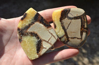 Polished Small Septerye (Aragonite & Calcite) Slices x 23 From Mahajanga, Madagascar - TopRock
