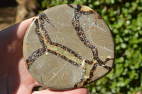 Polished Small Septerye (Aragonite & Calcite) Slices x 23 From Mahajanga, Madagascar - TopRock