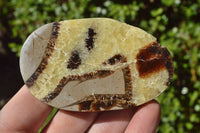 Polished Small Septerye (Aragonite & Calcite) Slices x 23 From Mahajanga, Madagascar - TopRock