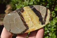 Polished Small Septerye (Aragonite & Calcite) Slices x 23 From Mahajanga, Madagascar - TopRock