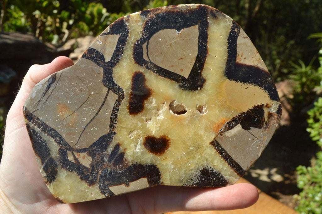 Polished Septerye (Aragonite & Calcite) Slices x 4 From Mahajanga, Madagascar - TopRock