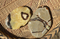 Polished Small Septerye (Aragonite & Calcite) Slices x 23 From Mahajanga, Madagascar - TopRock