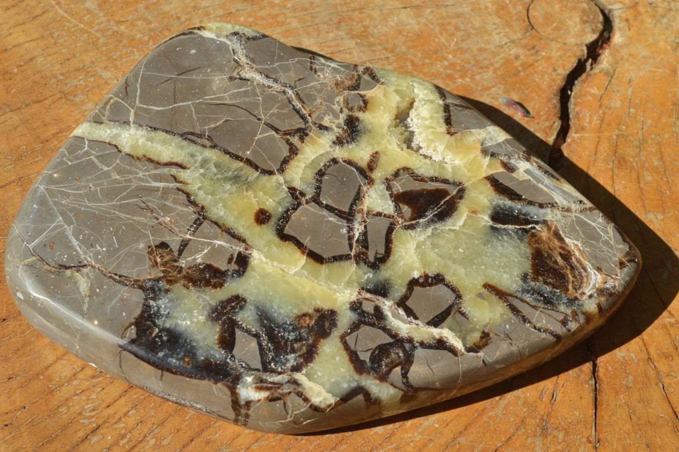 Polished Septerye (Aragonite & Calcite) Slices x 4 From Mahajanga, Madagascar - TopRock