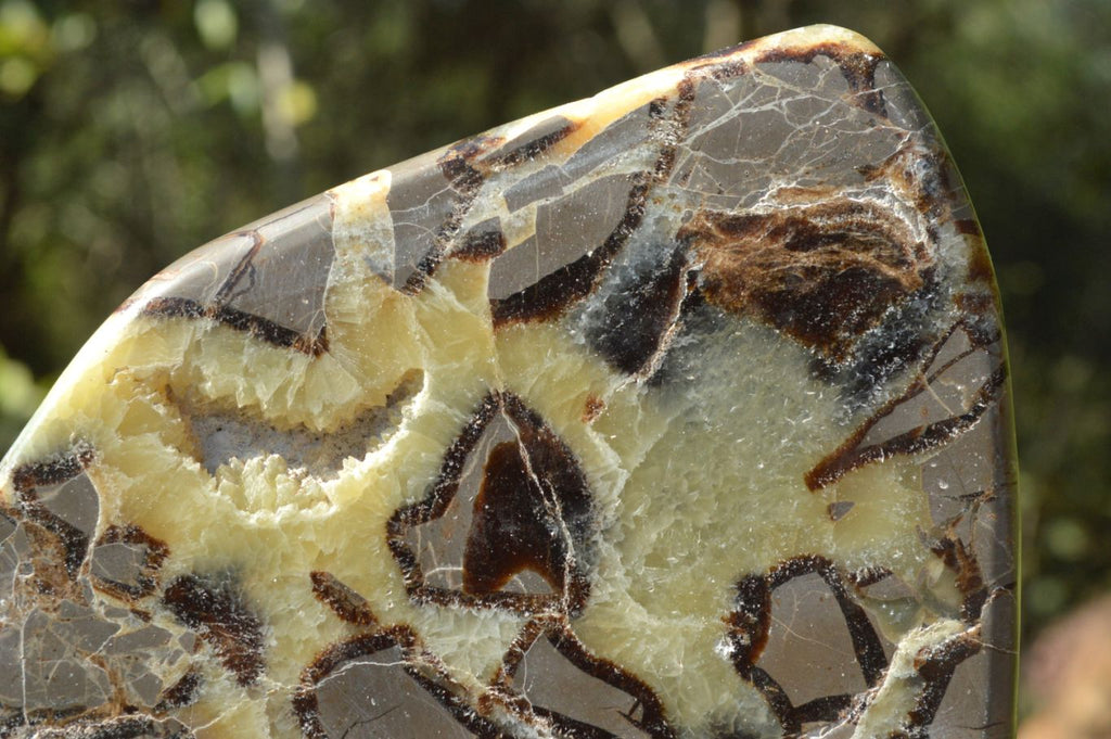 Polished Septerye (Aragonite & Calcite) Slices x 4 From Mahajanga, Madagascar - TopRock