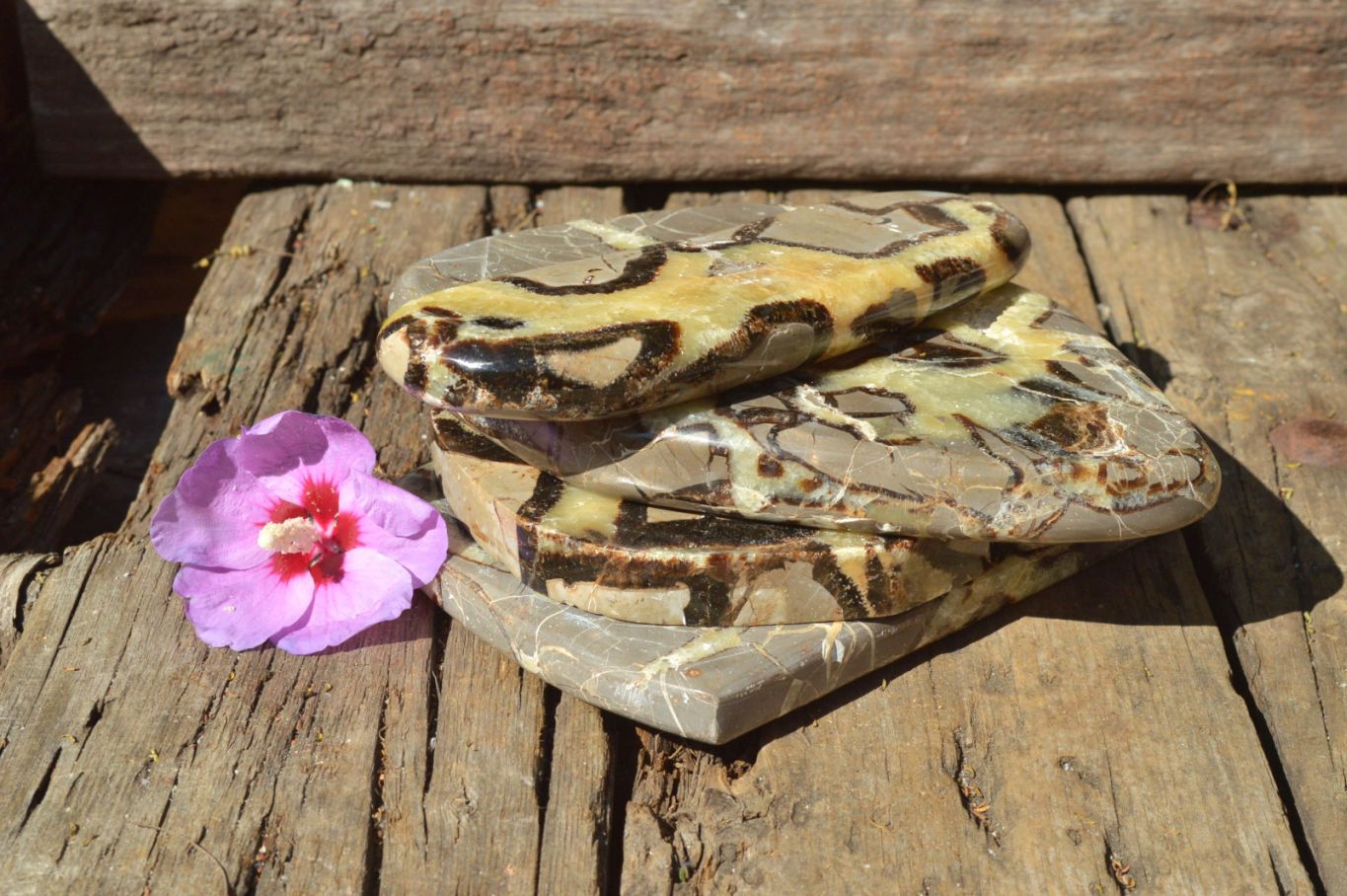 Polished Septerye (Aragonite & Calcite) Slices x 4 From Mahajanga, Madagascar - TopRock