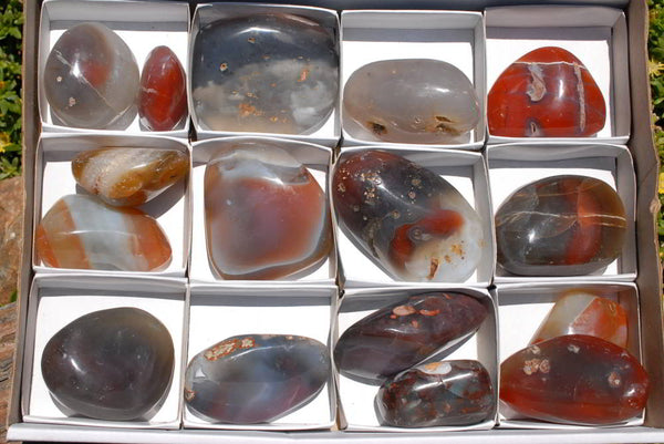 Polished Red Sashe River Agate Free Forms x 16 From Zimbabwe - TopRock