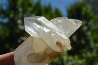 Natural Single Clear Quartz Crystals  x 20 From Serenje, Zambia - TopRock