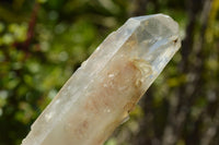 Natural Single Clear Quartz Crystals  x 20 From Serenje, Zambia - TopRock