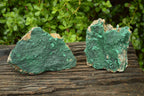 Natural Crystalline Botryoidal Malachite Plate Specimens x 2 From Tenke Fungumure, Congo - TopRock