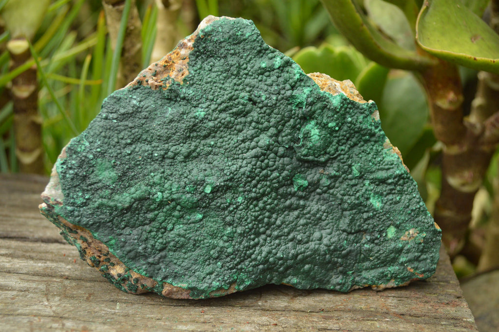 Natural Crystalline Botryoidal Malachite Plate Specimens x 2 From Tenke Fungumure, Congo - TopRock
