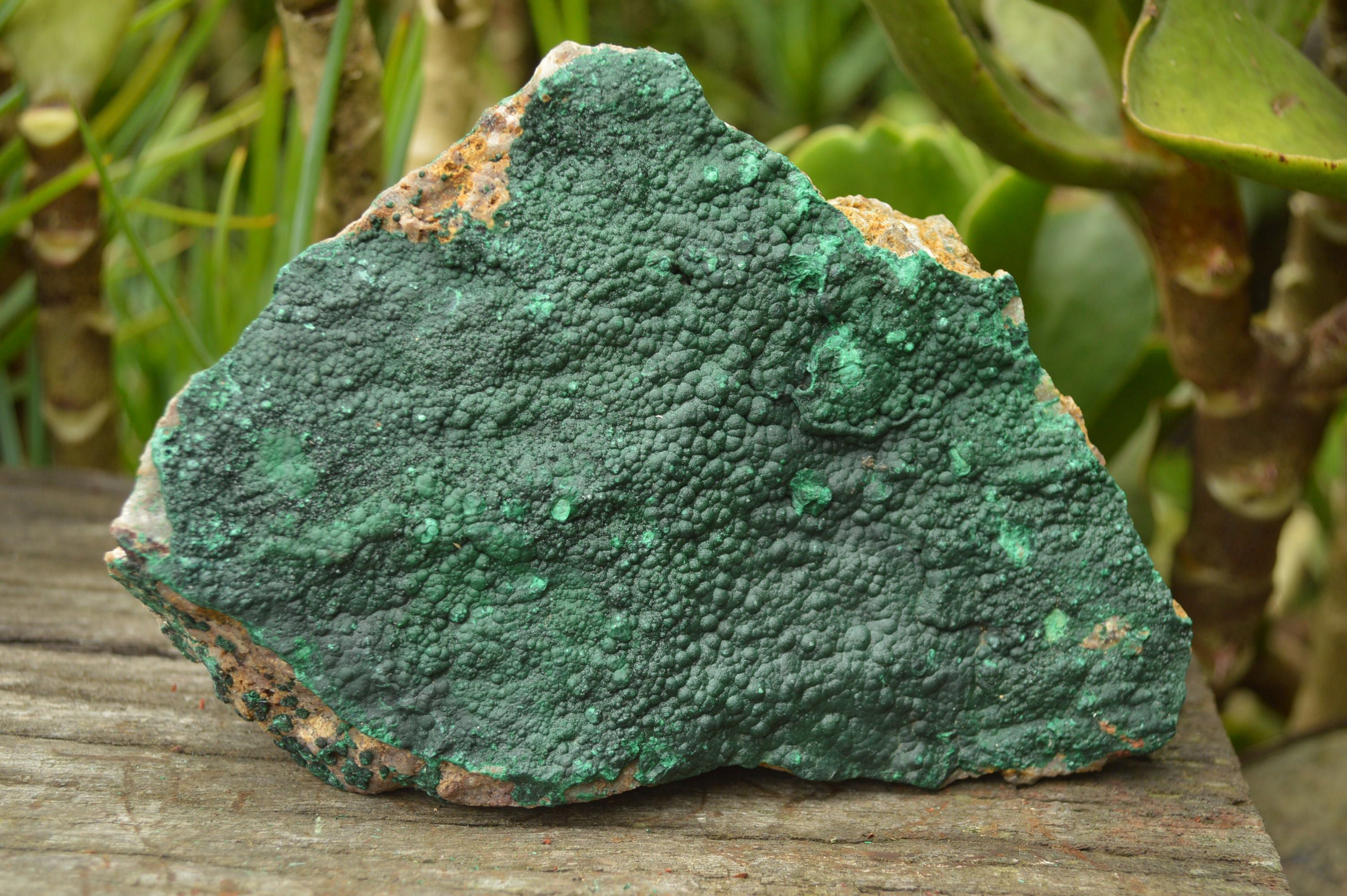 Natural Crystalline Botryoidal Malachite Plate Specimens x 2 From Tenke Fungumure, Congo - TopRock