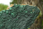 Natural Crystalline Botryoidal Malachite Plate Specimens x 2 From Tenke Fungumure, Congo - TopRock